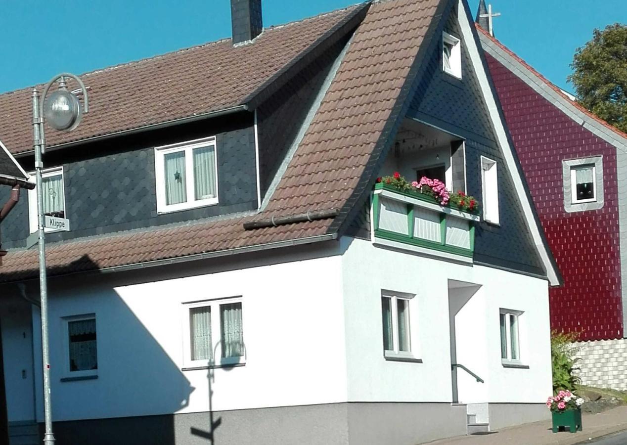 Ferienwohnung Loni Benneckenstein Exterior foto